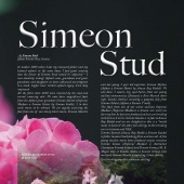 n.21 - Simeon Stud
